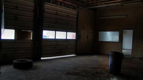 Cats Have Staff - 7.jpg