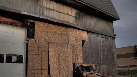 Cats Have Staff - 8a.jpg