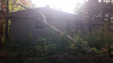 Still There, But Not For Long - IMG_2849.jpg