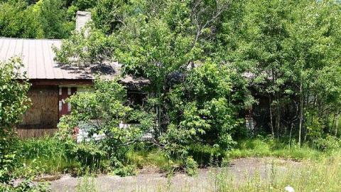 Howlin' Wolf - The-Howlin-Wolf1.jpg