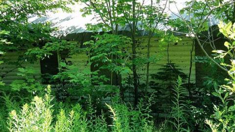 The Howlin' Wolf photo 3