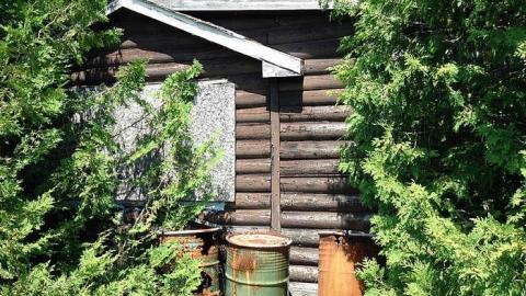 Howlin' Wolf - The-Howlin-Wolf7.jpg