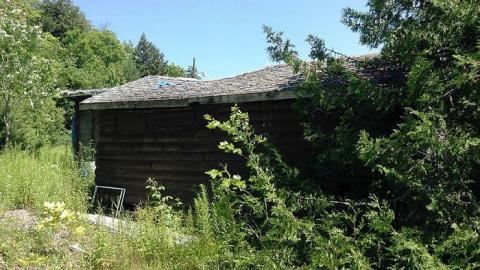 Howlin' Wolf - The-Howlin-Wolf18.jpg