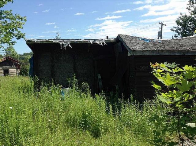 The Howlin' Wolf photo 5