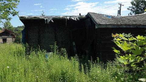 The Howlin' Wolf photo 5