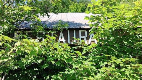 The Howlin' Wolf photo 4