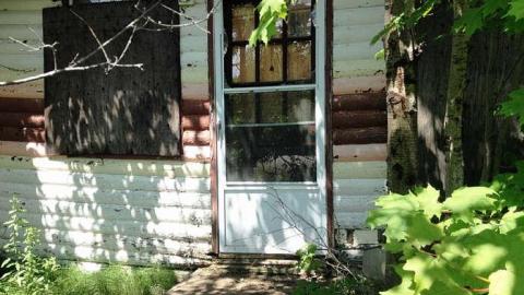 Howlin' Wolf - The-Howlin-Wolf9.jpg