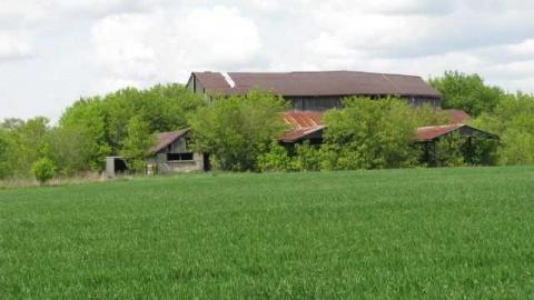 Teston Road Farm 1 - Teston-Road-Barn33.jpg
