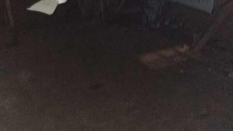 A Proper Visit - Oddfellows,-and-an-Odd-House8.jpg