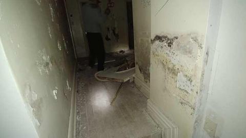 Vandal Presence  - 20171002_021927.jpg