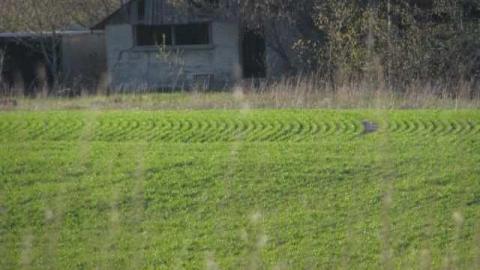 Teston Road Farm 1 - Teston-Road-Barn22.jpg