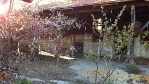 Teston Road Barn photo 4