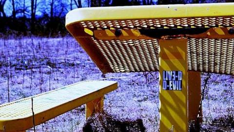 Throwback to 2016 Visit - Camp-30-Bowmanville1435.jpg