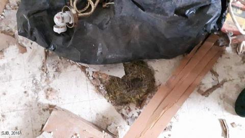 October 2016 - 20161020_135731.jpg