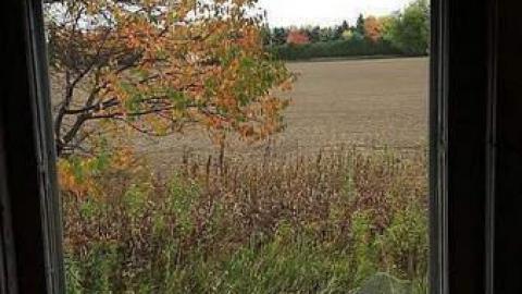 October 2016 - 20161020_135745.jpg