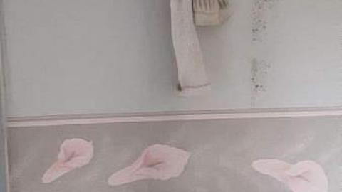 Photo from October 2016