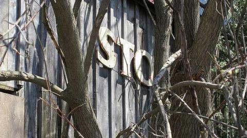 April 2017 - S-and-L-Plant5.jpg