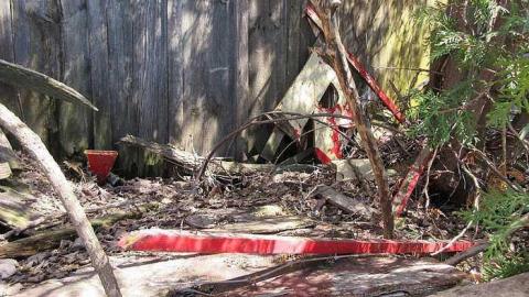 April 2017 - S-and-L-Plant11.jpg