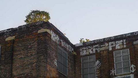 Sealed  - Linseed-Factory163.jpg