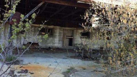 Teston Road Farm 2 - Teston-Road-Barn16.jpg