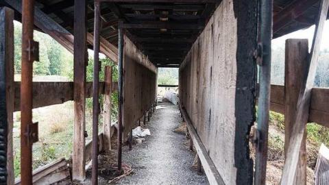 Oct 2017 - Scenic-Farm-on-Township-Rd.-3140.jpg