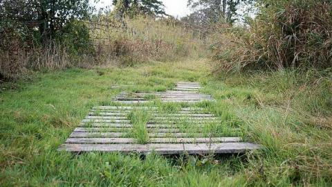 Oct 2017 - Scenic-Farm-on-Township-Rd.-3155.jpg