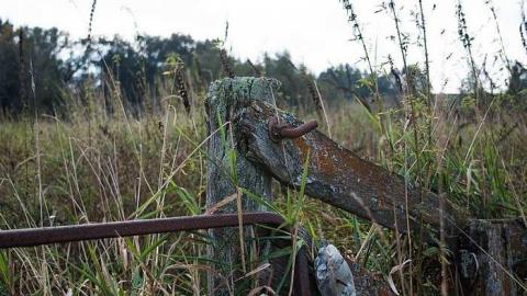 Oct 2017 - Scenic-Farm-on-Township-Rd.-3142.jpg