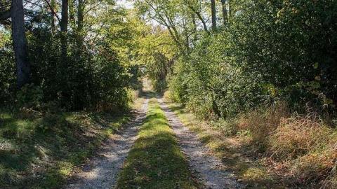 Oct 2017 - Scenic-Farm-on-Township-Rd.-3152.jpg