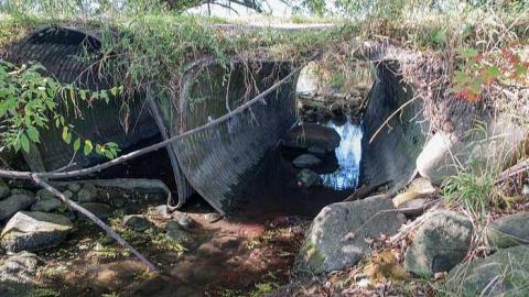 Oct 2017 - Scenic-Farm-on-Township-Rd.-3166.jpg