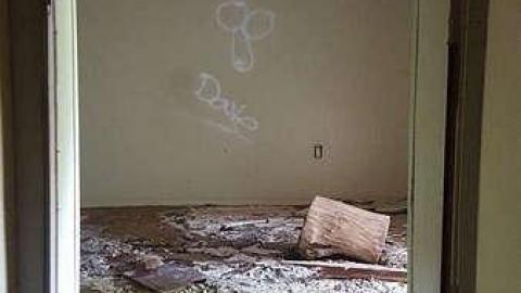 Left To Rot - Elora-Ruins-House2.jpg