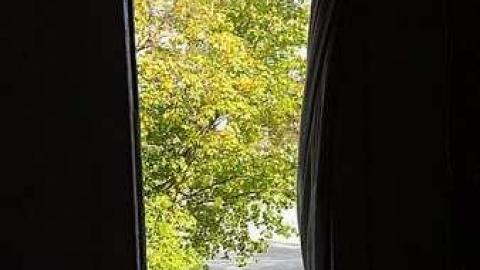 Left & Never Forgotten - Who-Owns-These-Memories60.jpg