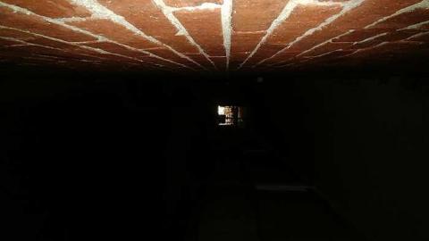 Savannah No Mo - Savannah-Rowe7.jpg