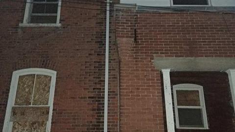 Savannah No Mo - Savannah-Rowe30.jpg