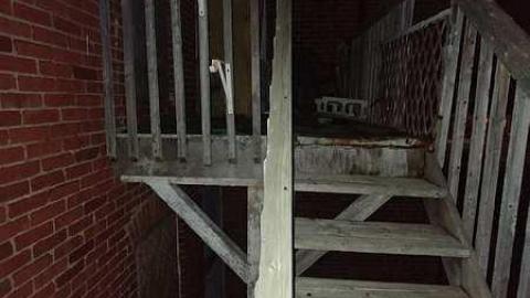 Savannah No Mo - Savannah-Rowe31.jpg