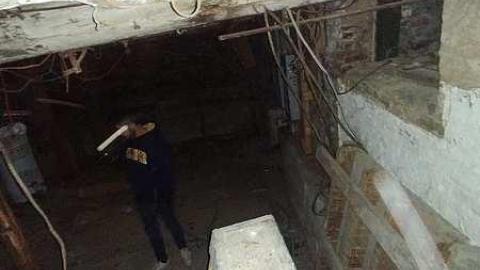 Savannah No Mo - Savannah-Rowe32.jpg