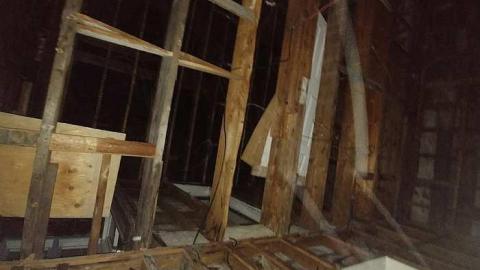 Savannah No Mo - Savannah-Rowe33.jpg