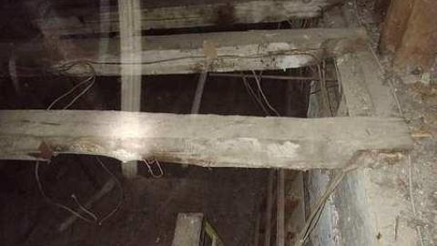 Savannah No Mo - Savannah-Rowe11.jpg