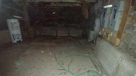 Savannah No Mo - Savannah-Rowe12.jpg