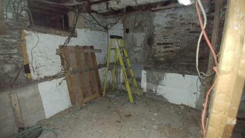 Savannah No Mo - Savannah-Rowe35.jpg