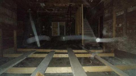 Savannah No Mo - Savannah-Rowe36.jpg