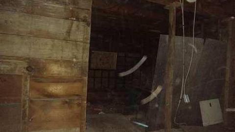 Savannah No Mo - Savannah-Rowe14.jpg