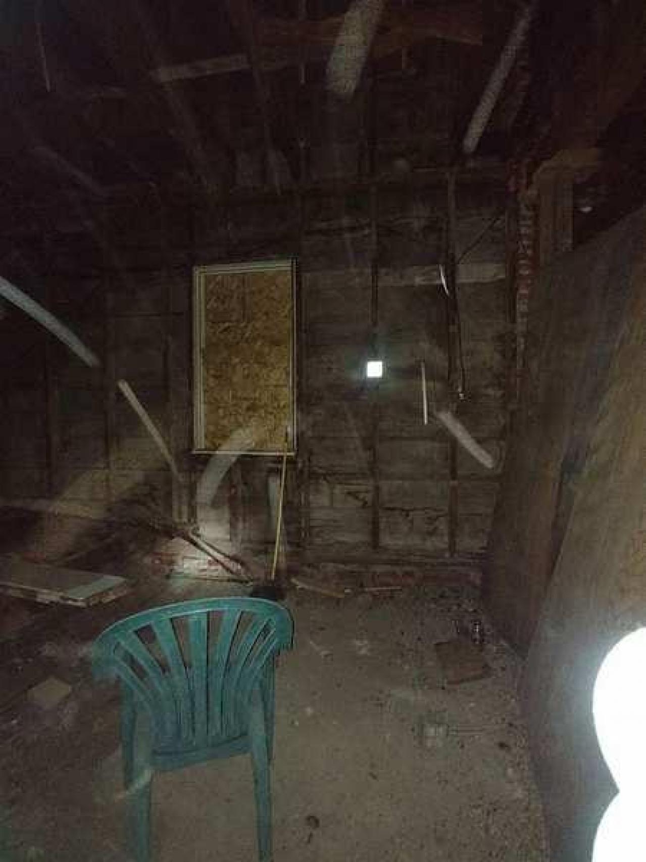 Savannah No Mo - Savannah-Rowe37.jpg