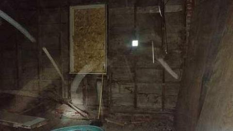 Savannah No Mo - Savannah-Rowe37.jpg