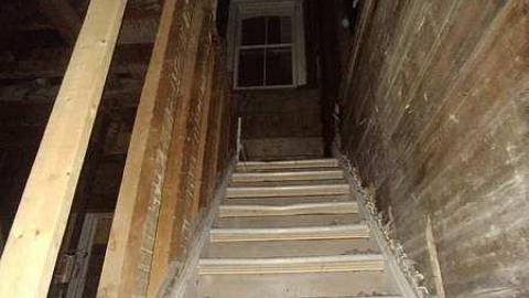 Savannah No Mo - Savannah-Rowe15.jpg