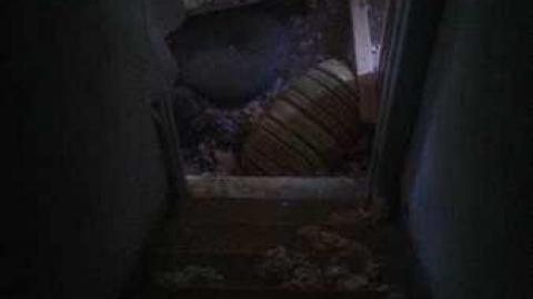 Finally In - BlackBerry-House15.jpg