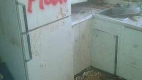 Finally In - BlackBerry-House56.jpg