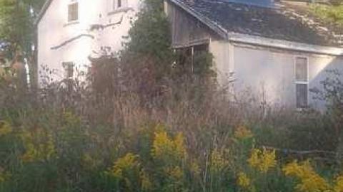 Finally In - BlackBerry-House45.jpg