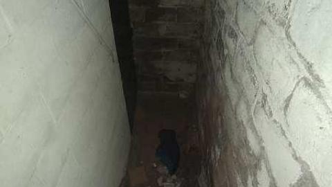 AM Visit - Goodwill,-Bad-Intentions13.jpg