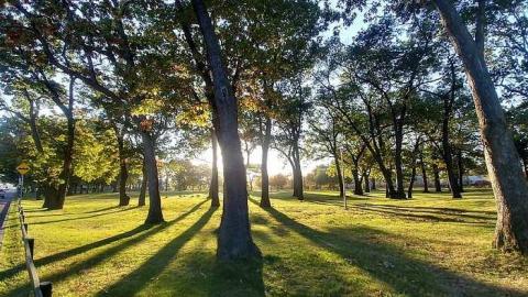 AM Visit - Goodwill,-Bad-Intentions10.jpg