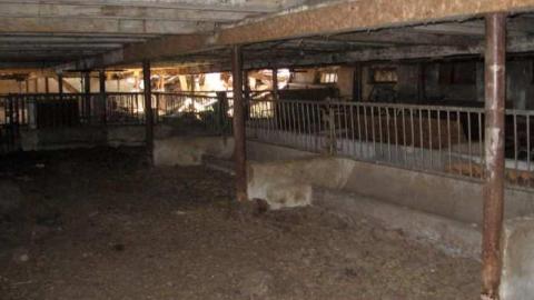 Stouffville & McCowan Farm - Stouffville-Rd-and-McCowan-Farm6.jpg